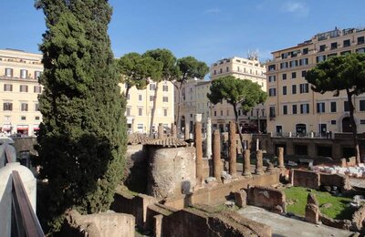 19 Novembre 2011 - DSC03067