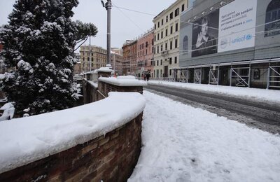 4 Febbraio 2012 - Largo di Torre Argentina 05