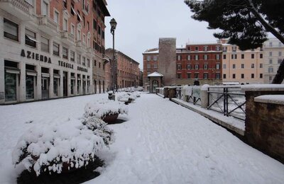 4 Febbraio 2012 - Largo di Torre Argentina 07