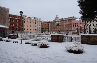 4 Febbraio 2012 - Largo di Torre Argentina 09