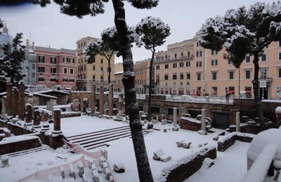 4 Febbraio 2012 - Largo di Torre Argentina 12