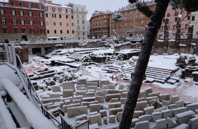 4 Febbraio 2012 - Largo di Torre Argentina 15