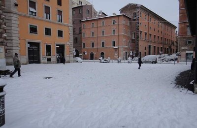 4 Febbraio 2012 - Largo di Torre Argentina 16