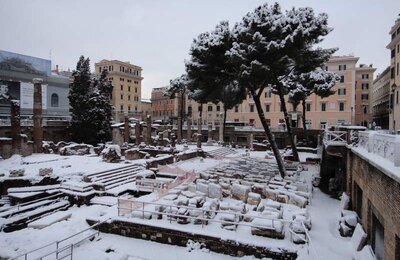4 Febbraio 2012 - Largo di Torre Argentina 17