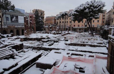 4 Febbraio 2012 - Largo di Torre Argentina 19