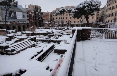 4 Febbraio 2012 - Largo di Torre Argentina 20