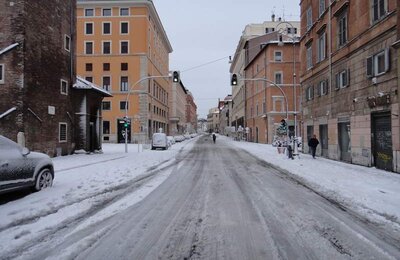4 Febbraio 2012 - Largo di Torre Argentina 23