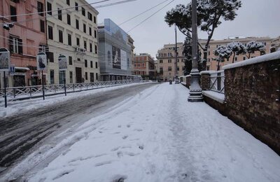 4 Febbraio 2012 - Largo di Torre Argentina 26