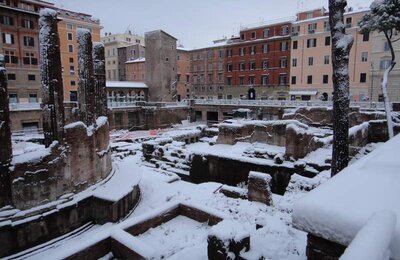 4 Febbraio 2012 - Largo di Torre Argentina 29