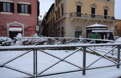 4 Febbraio 2012 - Largo di Torre Argentina 34