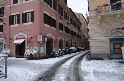 4 Febbraio 2012 - Largo di Torre Argentina 36