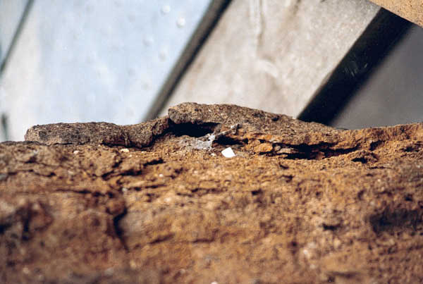 Area Sacra - Restauri